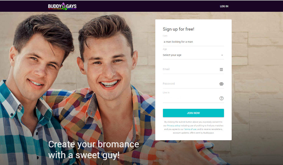 BuddyGays Review: Meet Your Perfect Gay Partner